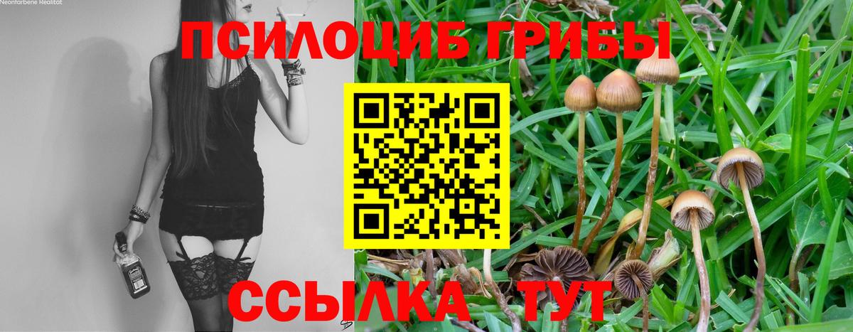 Галлюциногенные грибы прущие грибы  Вход с VPN  Котлас 